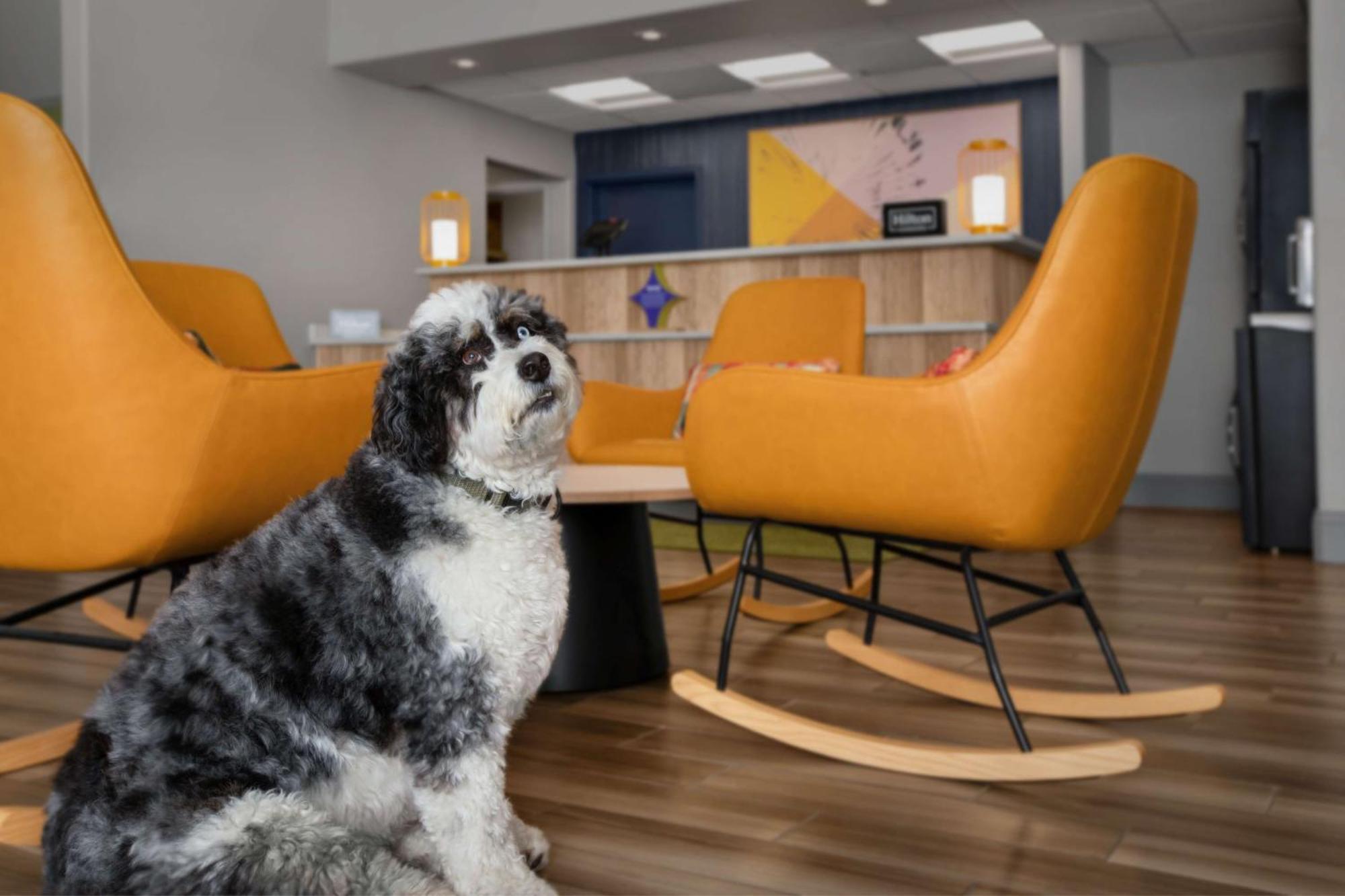 Spark By Hilton Albuquerque North I-25 Ngoại thất bức ảnh