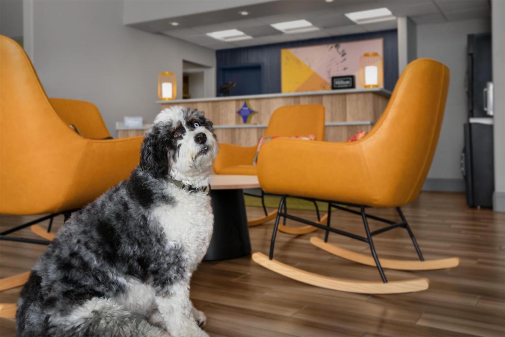 Spark By Hilton Albuquerque North I-25 Ngoại thất bức ảnh